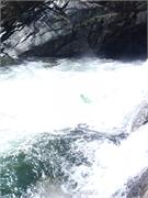 Tellico 16
